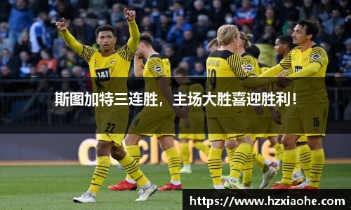 YY体育