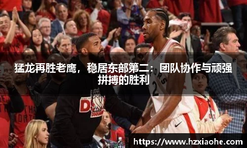 YY易游体育