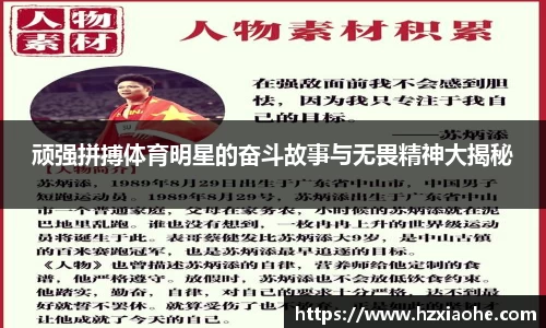 米乐M6