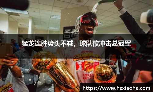 猛龙连胜势头不减，球队欲冲击总冠军