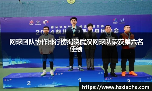 网球团队协作排行榜揭晓武汉网球队荣获第六名佳绩
