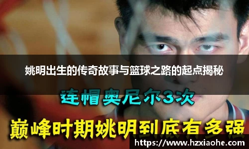 米乐M6官网